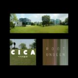Gallaecia Perpetua | Root Unseen | Colección de Arte Contemporáneo | Museo de Arte Contemporáneo CICA | Corea del Sur