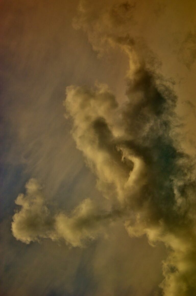 Abstract Magazine TV | Art Feature | EE.UU.