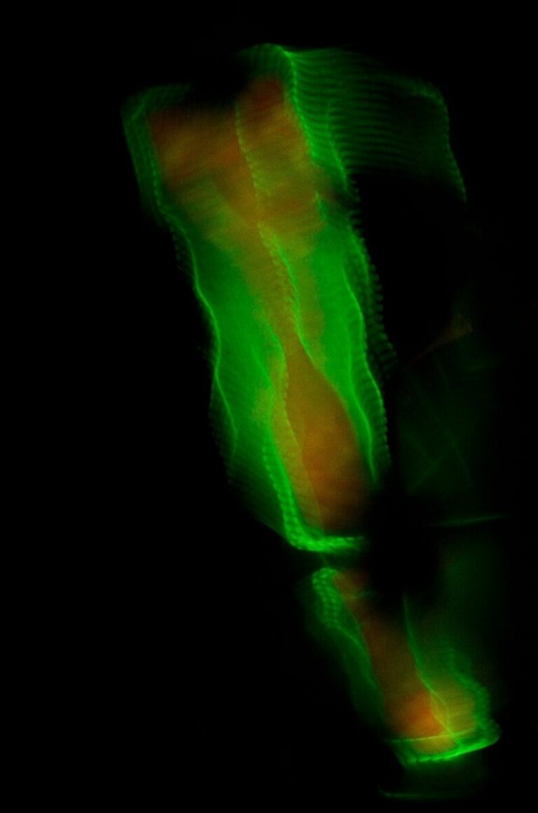 Abstract Magazine TV | Art Feature | EE.UU.