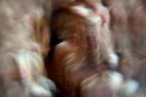 Ensueños de Teseracto | 6TH International Photography Biennial | Transcendental View of the Environment | Kaunas | Lituania