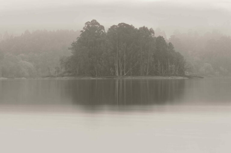 Gallaecia Perpetua | Art Miami Magazine | Edition – Miami Art Week / Art Basel Miami Beach 2025 | Florida | EE.UU