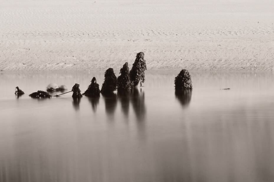 Gallaecia Perpetua | Root Unseen | Colección de Arte Contemporáneo | Museo de Arte Contemporáneo CICA | Corea del Sur