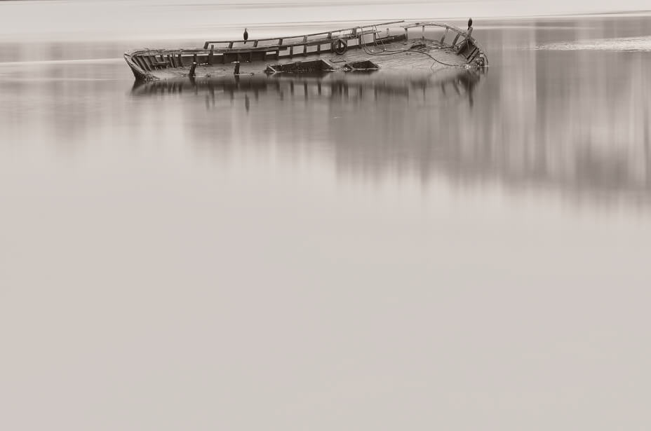Gallaecia Perpetua | Root Unseen | Colección de Arte Contemporáneo | Museo de Arte Contemporáneo CICA | Corea del Sur