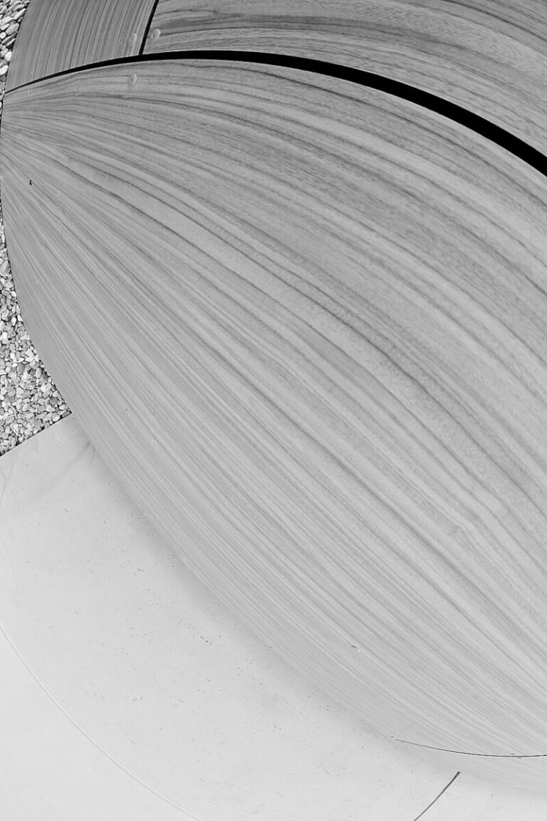 India Photo Fest neowabi Daniel Agra 04