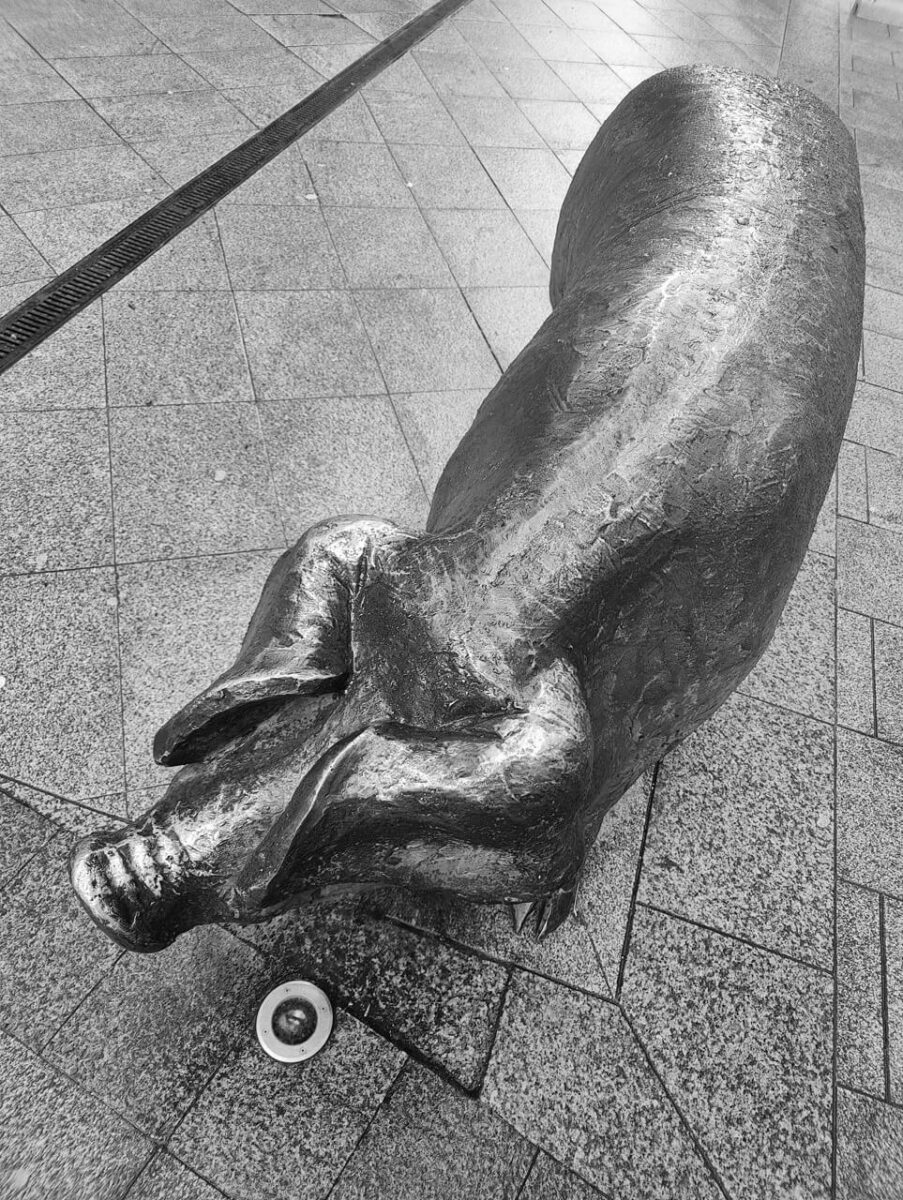 ArsKúu | XIV EmporcARTE | Museo Ramón María Aller Ulloa | Lalín