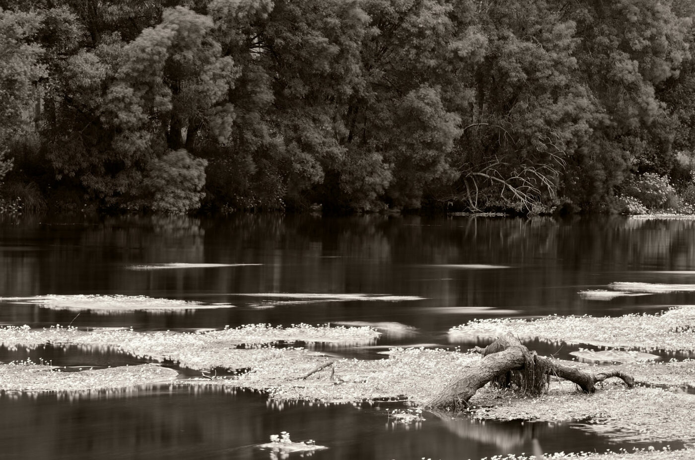 GALLAECIA PERPETUA por Daniel Agra